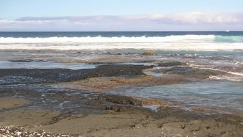 Video: Holoholokai Beach